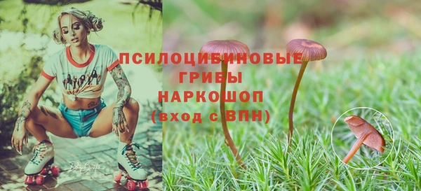 a pvp Белоозёрский